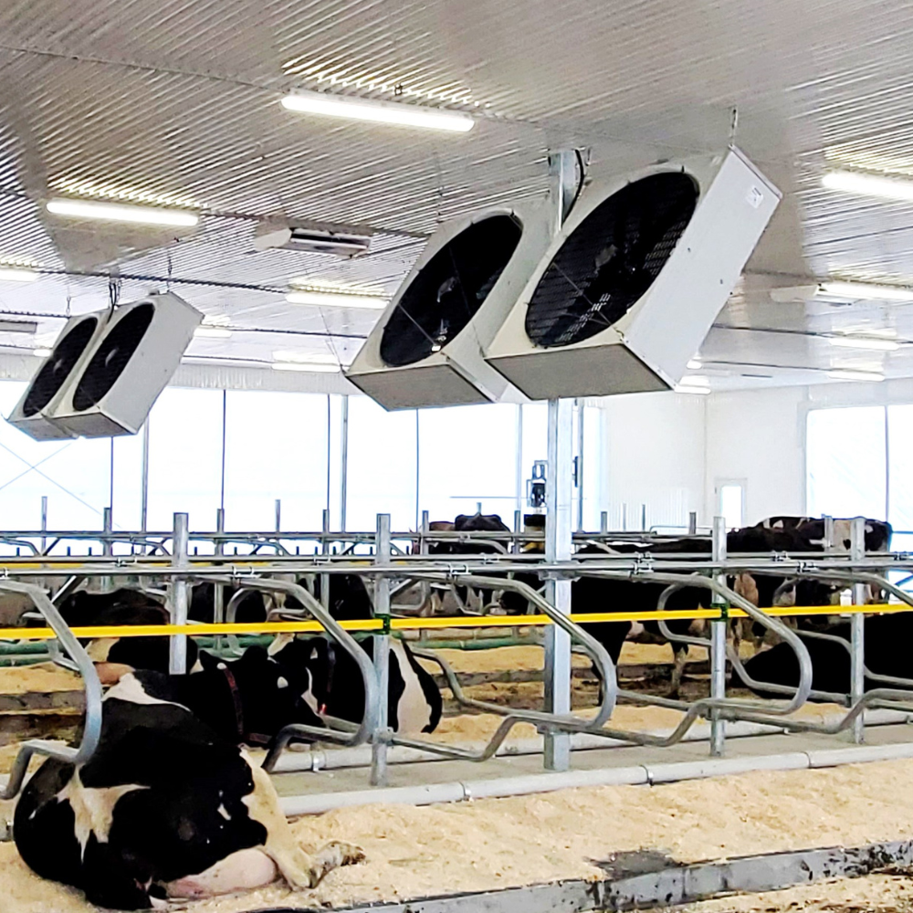 Ventilators BF 50 SuperFlow